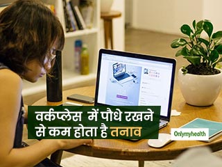 Plant Reducing Stress: तनाव को कम कर सकता है वर्किंग डेस्‍क पर पौधे रखना, अध्‍ययन में हुआ खुलासा 