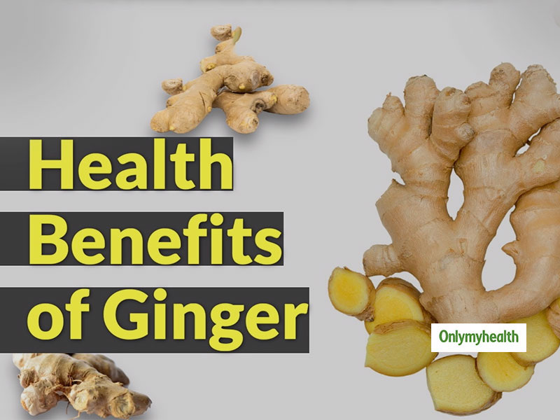 essay on ginger in hindi