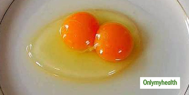 egg