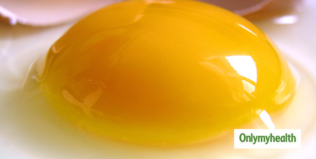 egg