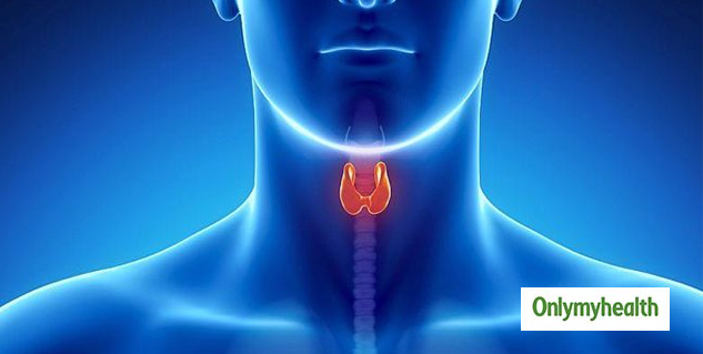 inside-Thyroid