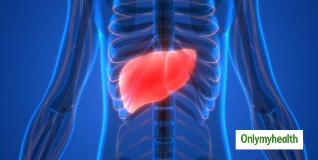 liver