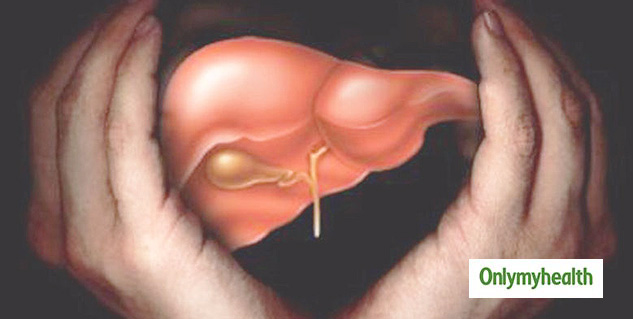 liver