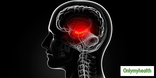 Brain Changes 