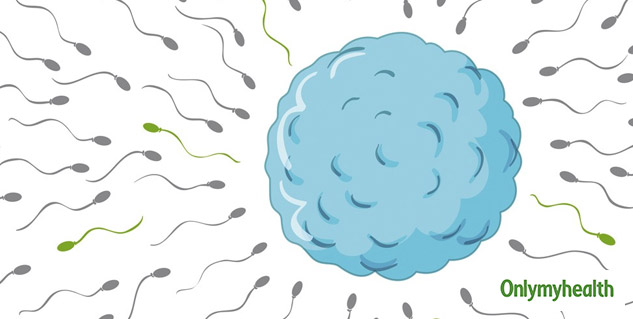 sperm