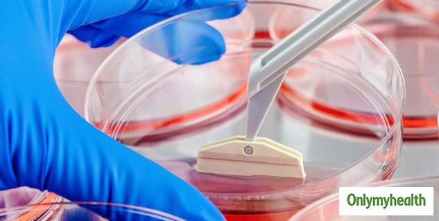 <iframe width="560" height="315" data-src="https://www.youtube.com/embed/xAkHOK-1EGY" frameborder="0" allow="accelerometer; autoplay; encrypted-media; gyroscope; picture-in-picture" allowfullscreen></iframe>