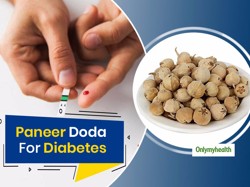 Ayurvedic Panacea How To Use Paneer Dodi For Type 2 Diabetes