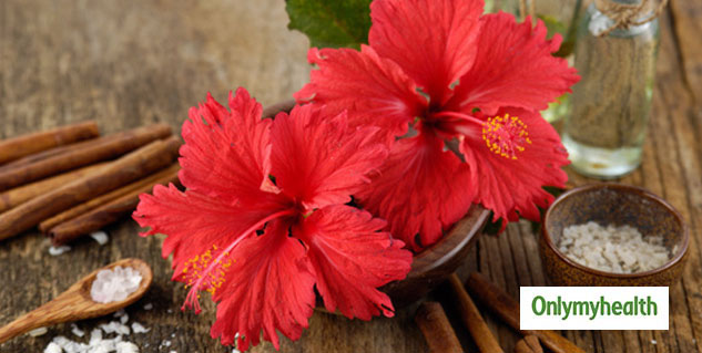 How to Use Dried Hibiscus Flowers for Hair? Ways To Use It. – VedaOils