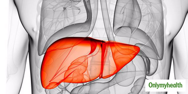 liver