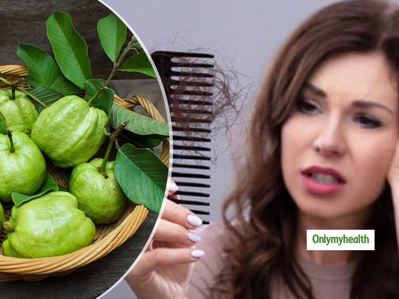 How Often To Use Guava Leaves For Hair Growth Benefits of guava leaves for hair care. use guava leaves for hair growth
