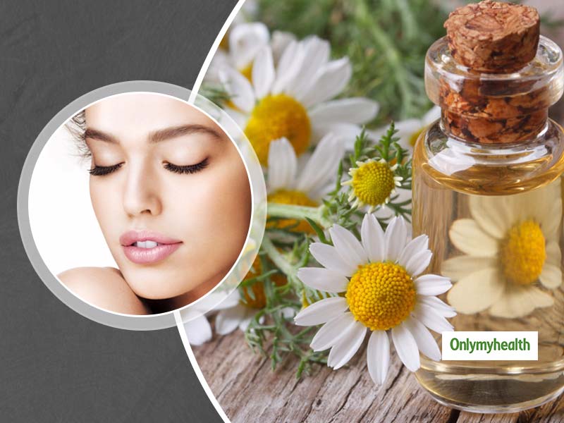 Roman Chamomile Oil Uses and Benefits