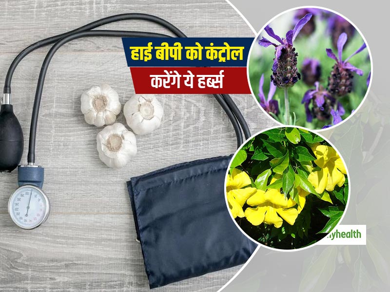 Ayurvedic Herbs For Hypertension: हाई ब्‍लड प्रेशर को कम करने में मददगार हैं ये 5 आयुर्वेदिक हर्ब्‍स  