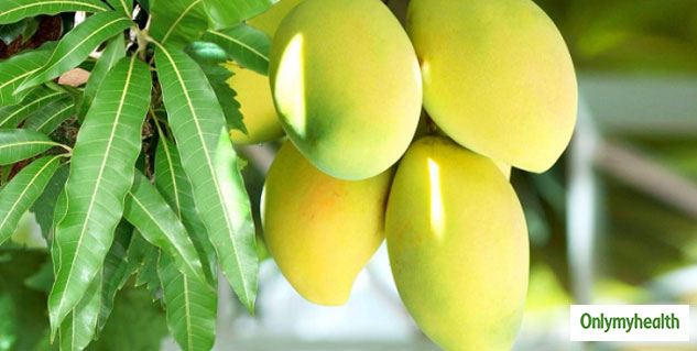 mango