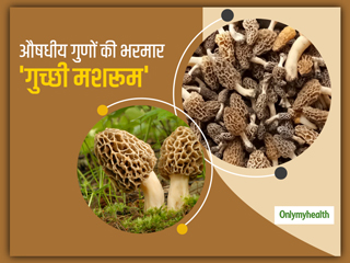 औषधीय गुणों की भरमार है पहाड़ों में पाया जाने वाला गुच्छी मशरूम, जानें कैसे ठीक करता है आपका खराब मूड और तनाव