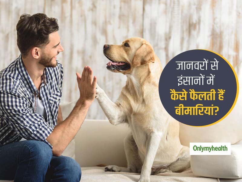 World Zoonoses Day: जानवरों और कीड़ों से इन 5 तरीकों से फैल सकती हैं गंभीर बीमारियां, जानें कैसे रहें सावधान