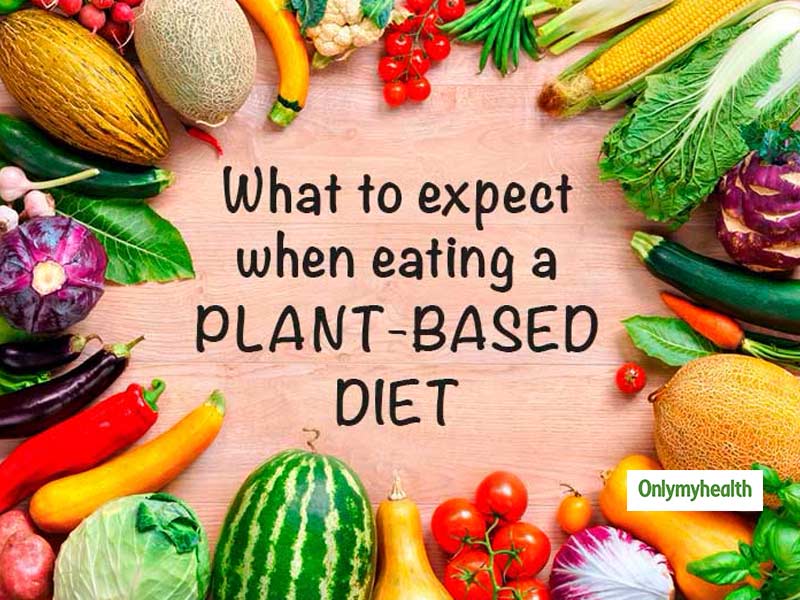 Debunking The Commonly Believed Myths About A Plant Based Diet Onlymyhealth