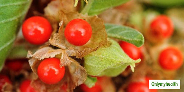 insideashwagandha