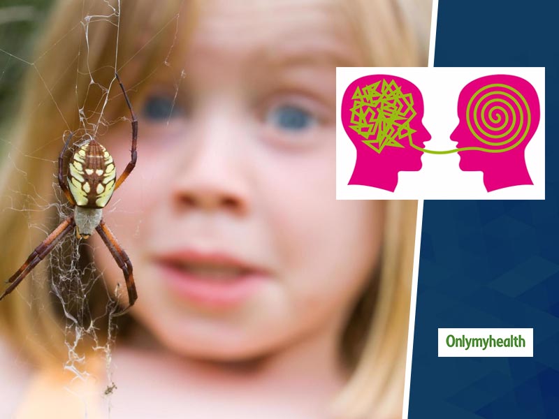 How to Overcome the Fear of Spiders (Arachnophobia) with CBT