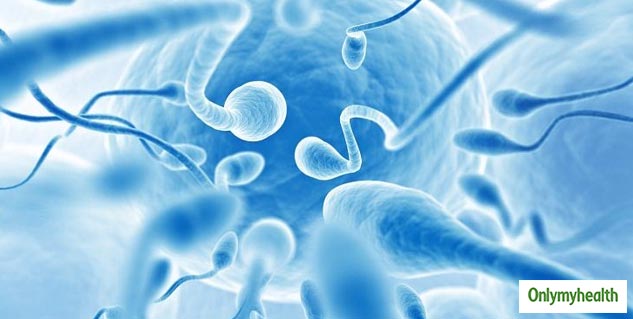 best foods for men to boost fertility