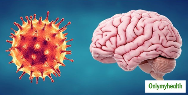 Coronavirus And Brain Inflammation 