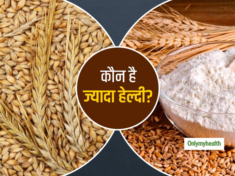 Barley Vs Wheat: गेहूं या जौ कौन सा है ज्यादा फायदेमंद? जानें दोनों के बीच का अंतर और स्वास्थ्य लाभ