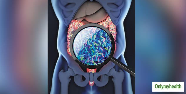 Good Gut Bacteria And Heart Health 