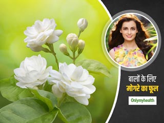 Hair Care Tips: मोगरा के फूलों से अपने बालों की खूबसूरती बढ़ाएं, डेली हेयर केयर रूटीन में करें इन्हें शामिल