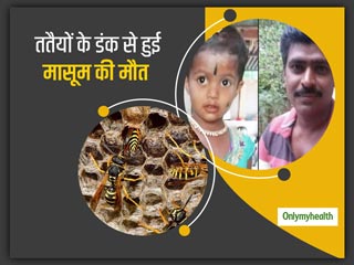 ततैयों के काटने से एक पिता और 3 साल की बच्ची की हुई मौत, जानें कितना खतरनाक होता है ततैयों का डंक