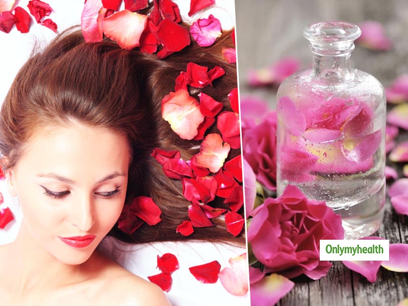 Rose Water For Hair Fall, Rinsing Your Hair With Rose Water Has Many Benefits