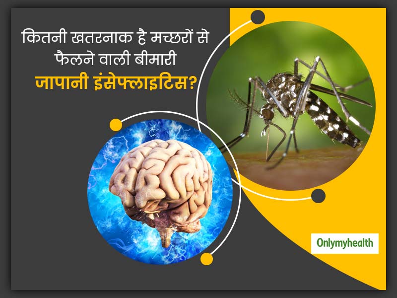 जानलेवा है मच्छरों से फैलने वाली जापानी इंसेफलाइटिस बीमारी, जानें क्या हैं इसके लक्षण और बचाव के उपाय