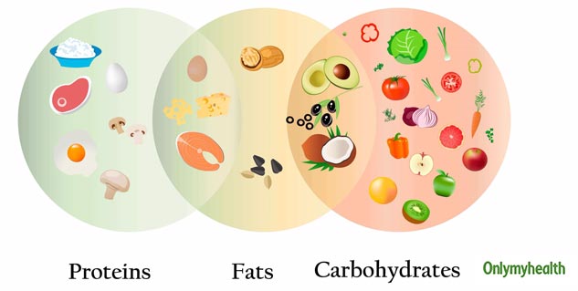 What should an endomorph eat