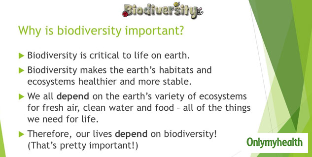 World Environment Day 2020: Know How Nature Affects Your Life And ...