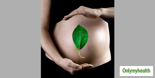 eating-fresh-betel-leaf-paan-during-pregnancy-benefits-and-side