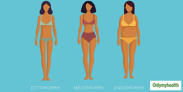 insidewhatisbodytype