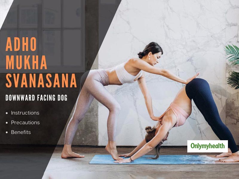 Eka Pada Adho Mukha Svanasana - One Legged Downward Facing Dog Pose - Yogic  Way of Life