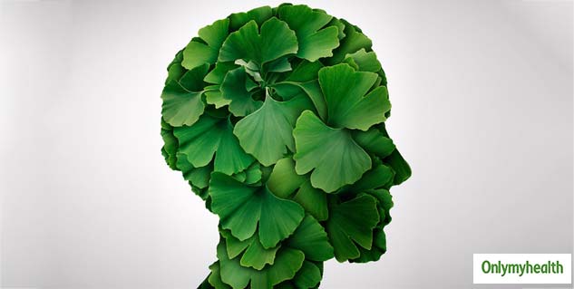 Ginkgo Biloba Benefits