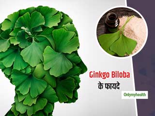 दिल को सेहतमंद रखने और माइग्रेन में फायदेमंद है जिन्को बाइलोबा (Ginkgo Biloba), जानें इसके अन्‍य फायदे  
