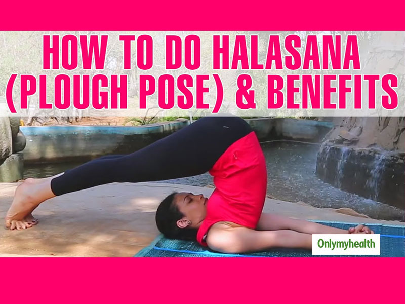 International Yoga Day Quiz: Method, Benefits And Precautions While Doing Halasana (Plough Pose)