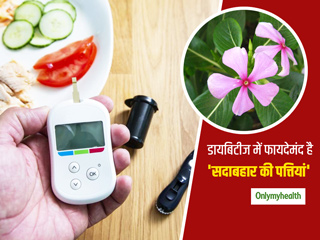डायबिटीज रोगियों के लिए फायदेमंद है 'सदाबहार की पत्तियां', जानें इसके सेवन करने का तरीका 