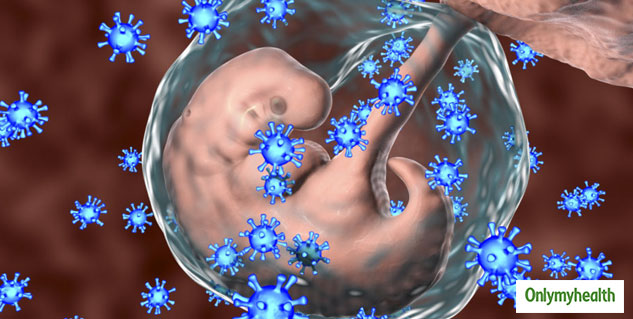 pregnancy immunity