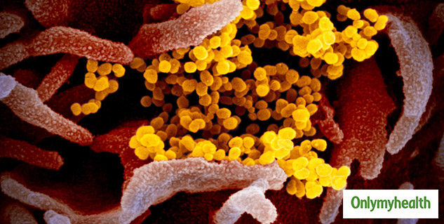 COVID-19 antibodies