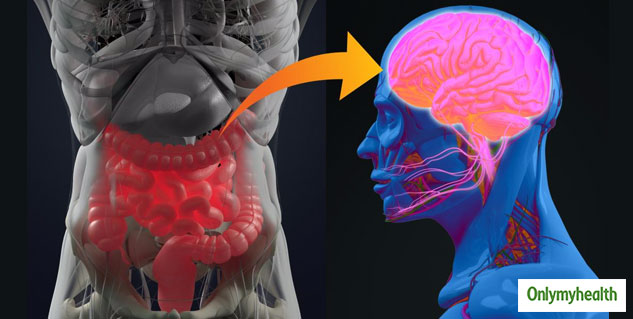 Gut Bacteria And Brain Health