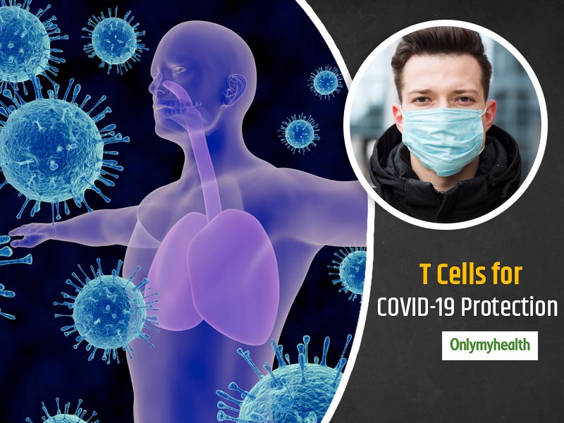 Scientists Have Finally Identified The Immune Cells That Can Kill COVID-19 Virus 