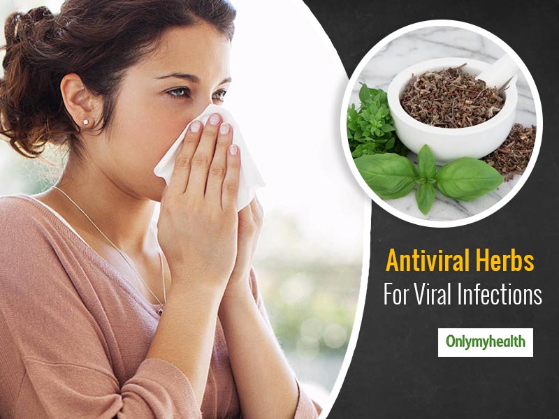 Viral Infections Cure Fight Viral Infections With These 7 Antiviral