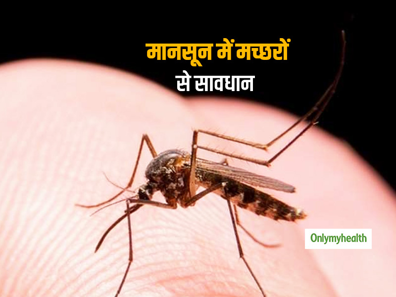 डेंगू ही नहीं मच्छर के काटने से फैलती हैं 6 घातक बीमारियां, जानें किस मच्छर के काटने से फैलती है कौन सी बीमारी