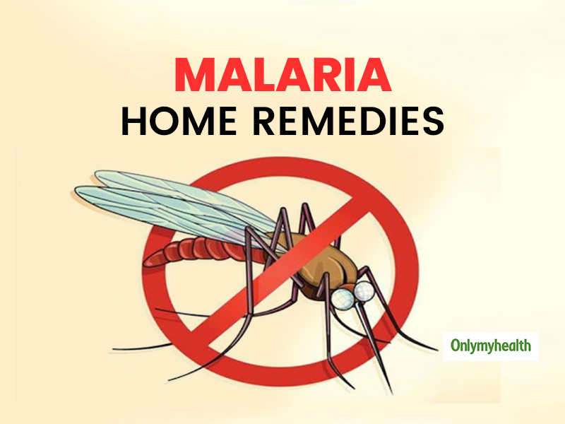 Follow These Home Remedies For Malaria