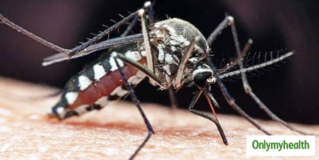 dengue