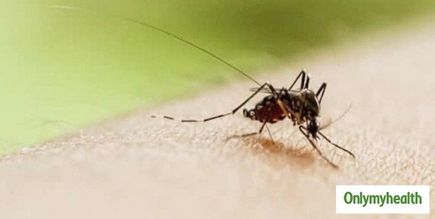 malaria