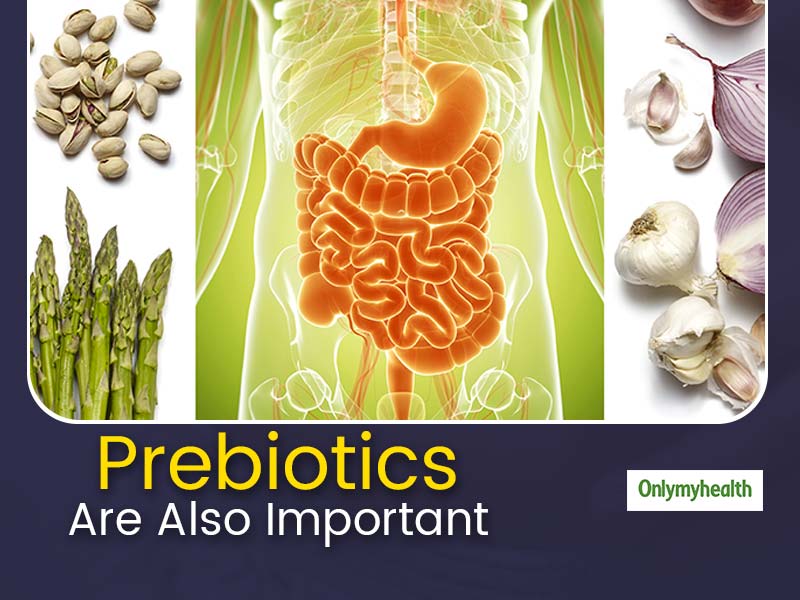 Know Why Prebiotics Are Important and How You Can Add Them To Your Diet