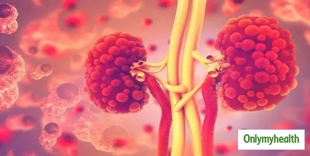 Air Pollution and Kidney Disease